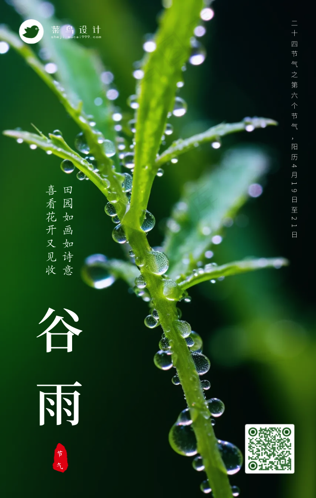 谷雨手机海报