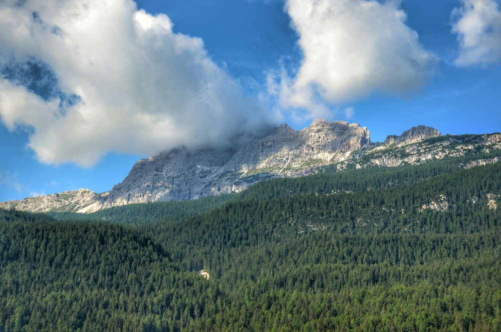 静谧山林：写实蓝绿自然风景照