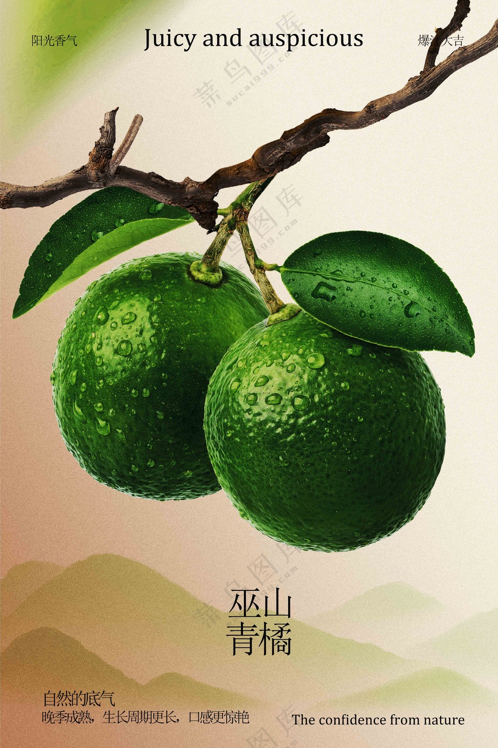 青橘水果促销宣传活动海报