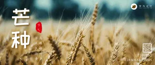 芒种公众号首图