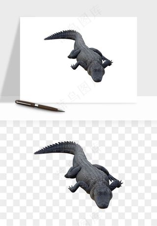 鳄鱼动物png免抠