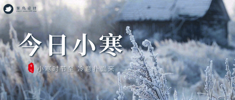 小寒公众号首图