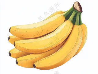 香蕉水果插画背景