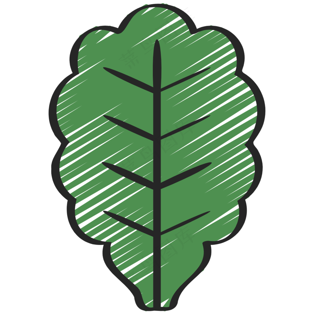 羽衣甘蓝 kale 绿色健康食品 铅笔手绘图标icon