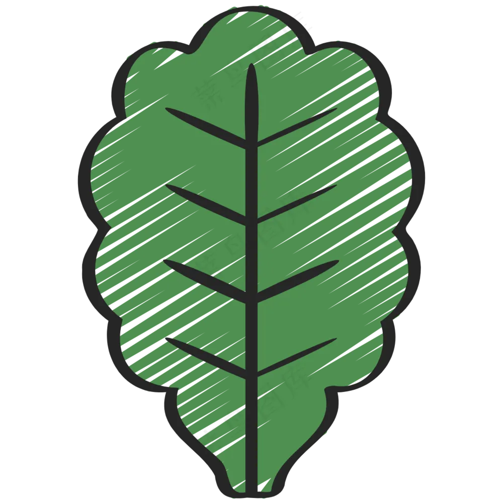 羽衣甘蓝 kale 绿色健康食品 铅笔手绘图标icon