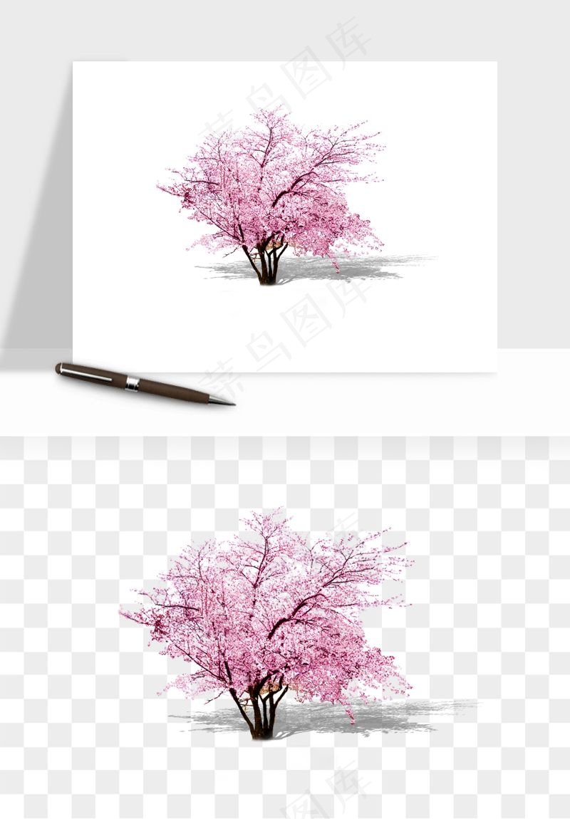 手绘樱花树png免抠