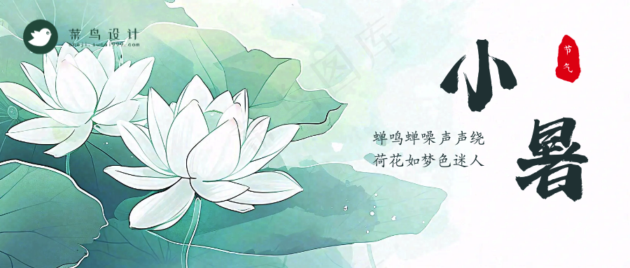 小暑公众号首图