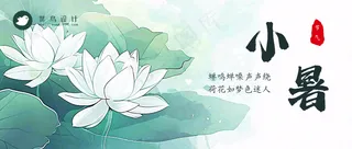 小暑公众号首图