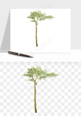 水彩手绘树木png免抠