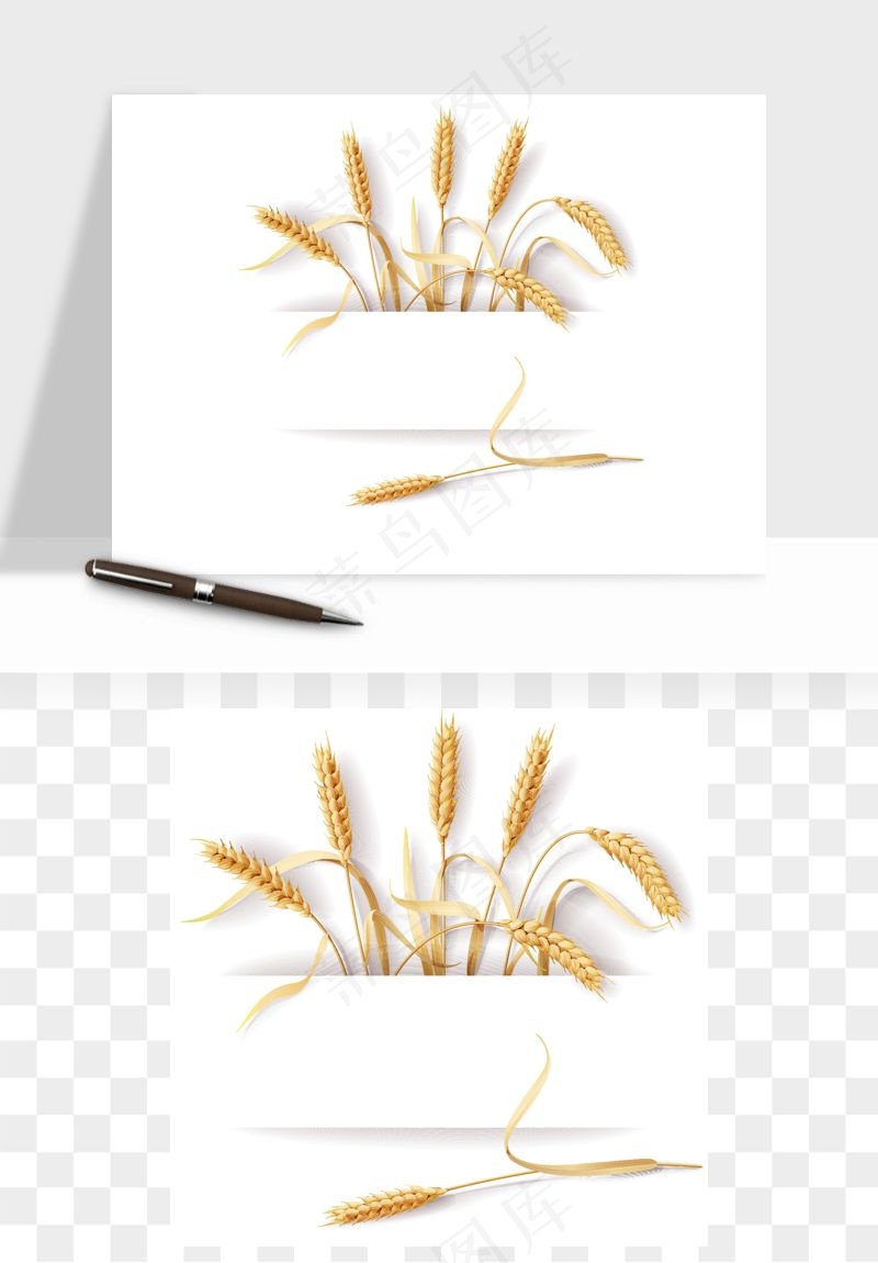 手绘麦穗稻穗麦秆矢量png免抠