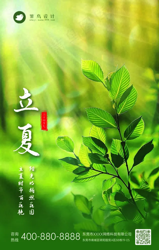 立夏手机海报