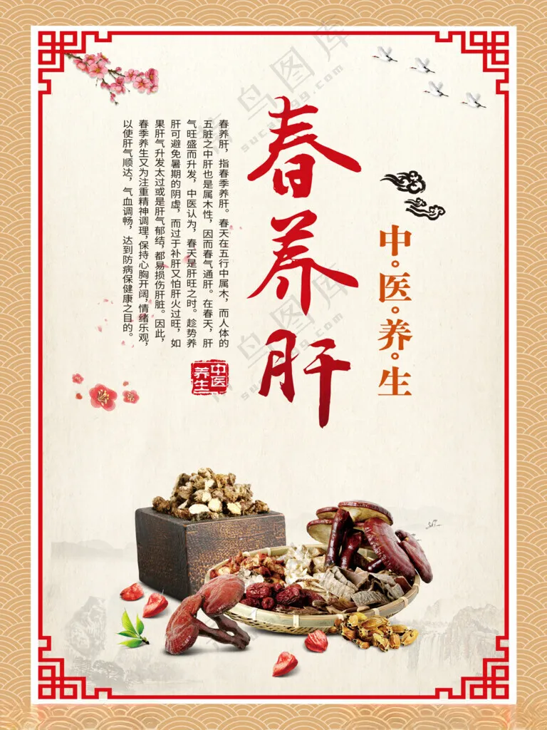 四季养生展板 春养肝中医中药广告设计