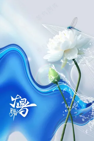 简约大暑节气传统活动海报