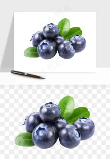 蓝莓水果png免抠