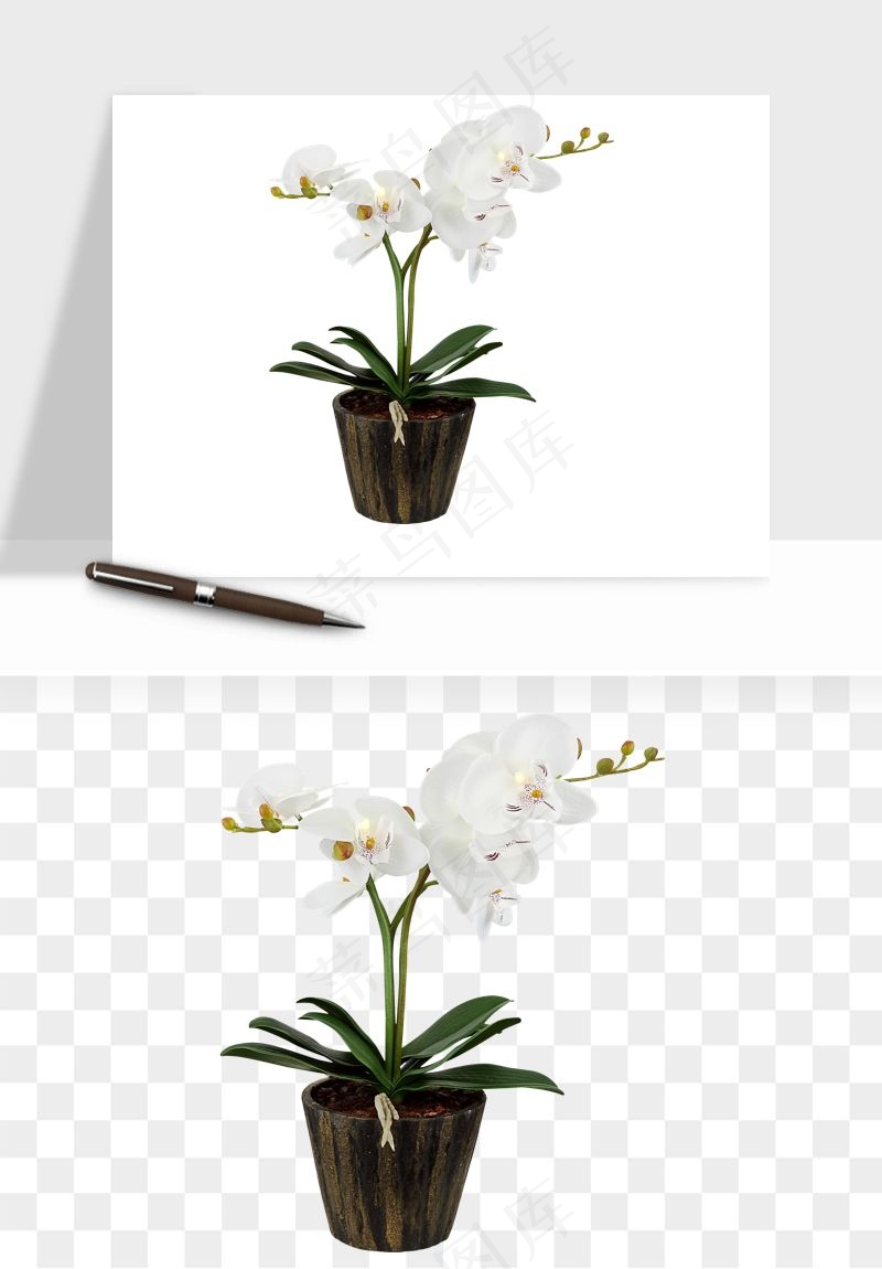 花瓶摆件花艺png免抠图