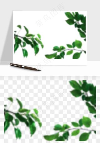 绿叶虚化前景树枝png免抠