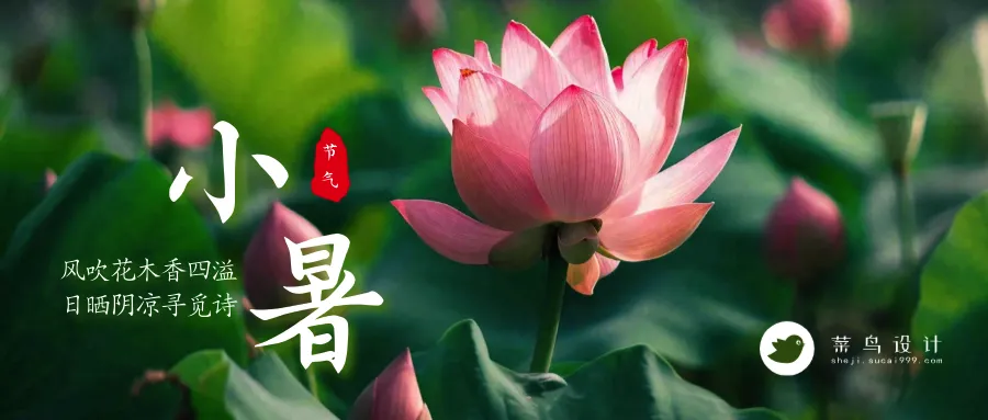 小暑公众号首图