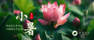 小暑公众号首图