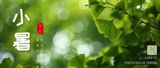 小暑公众号首图