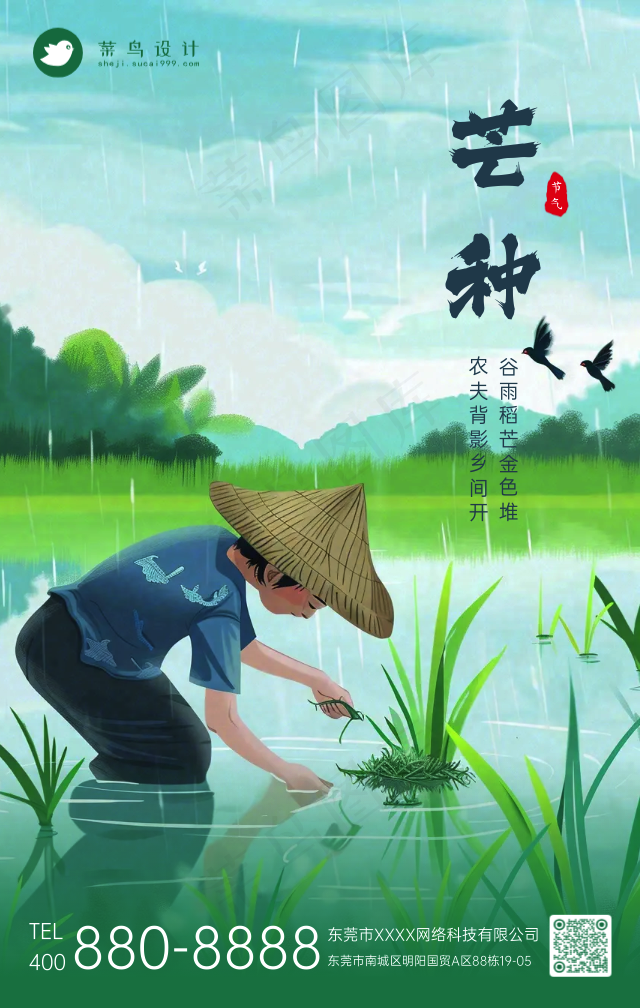 芒种手机海报