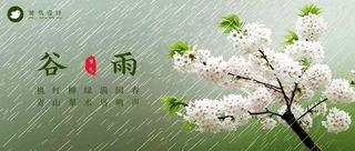 谷雨公众号首图