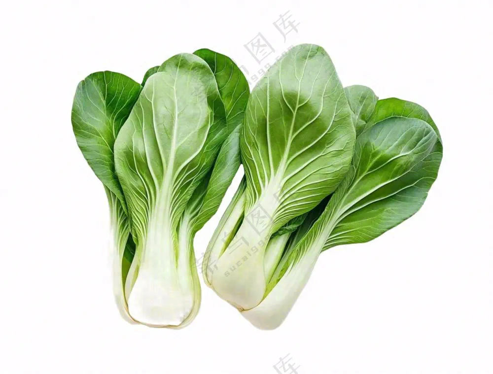 上海青蔬菜免抠