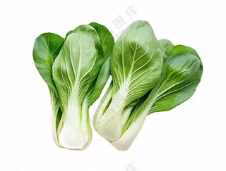上海青蔬菜免抠