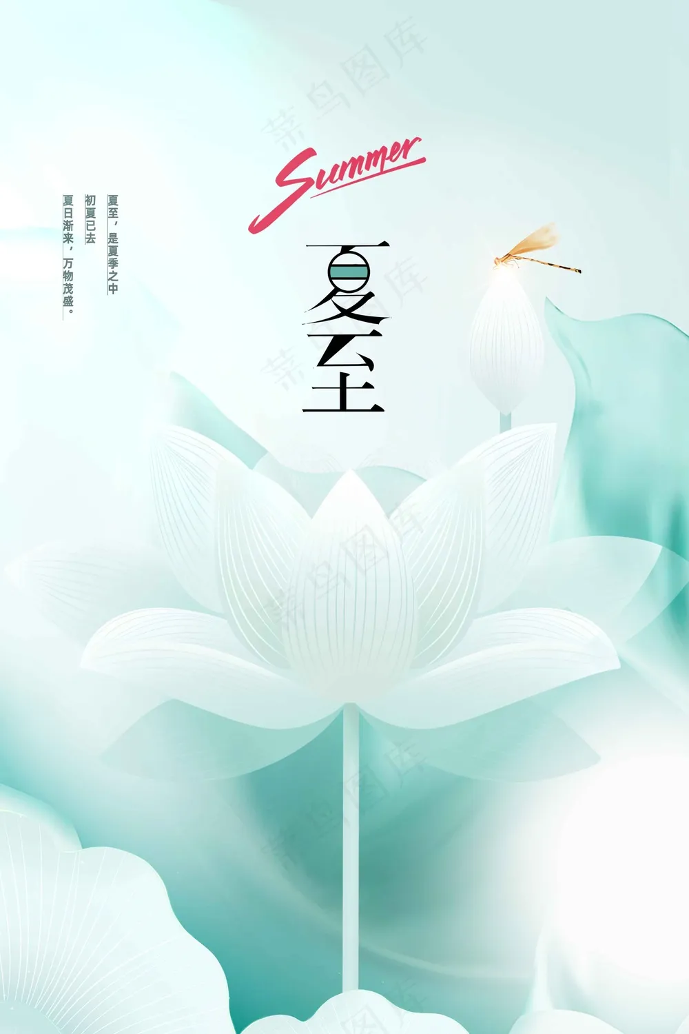简约夏至节气海报