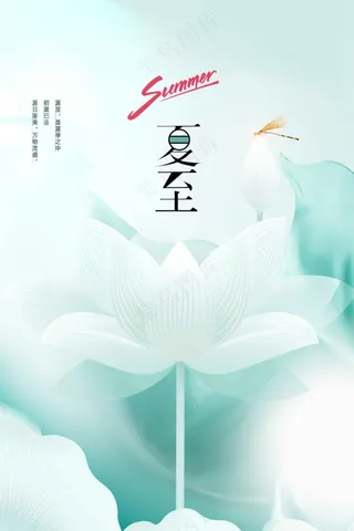 简约夏至节气海报