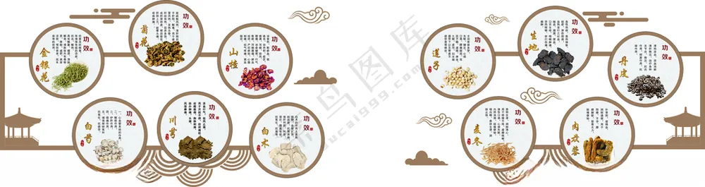 中药简介文化墙中药功效海报