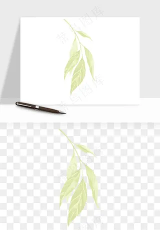 清新手绘植物png免抠