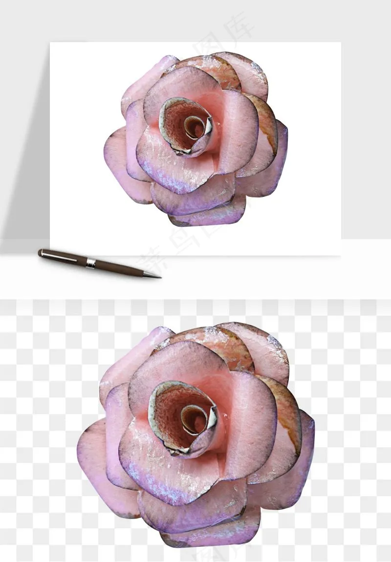 复古鲜花玫瑰png免抠