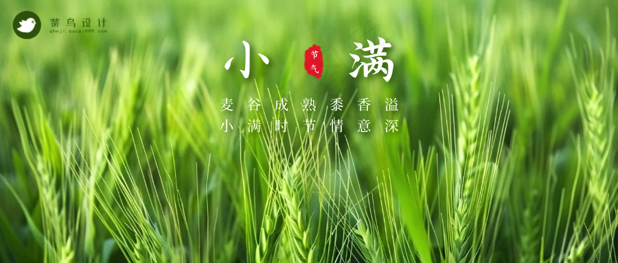 小满公众号首图