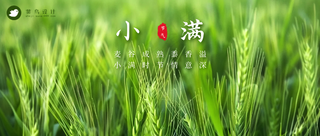 小满公众号首图
