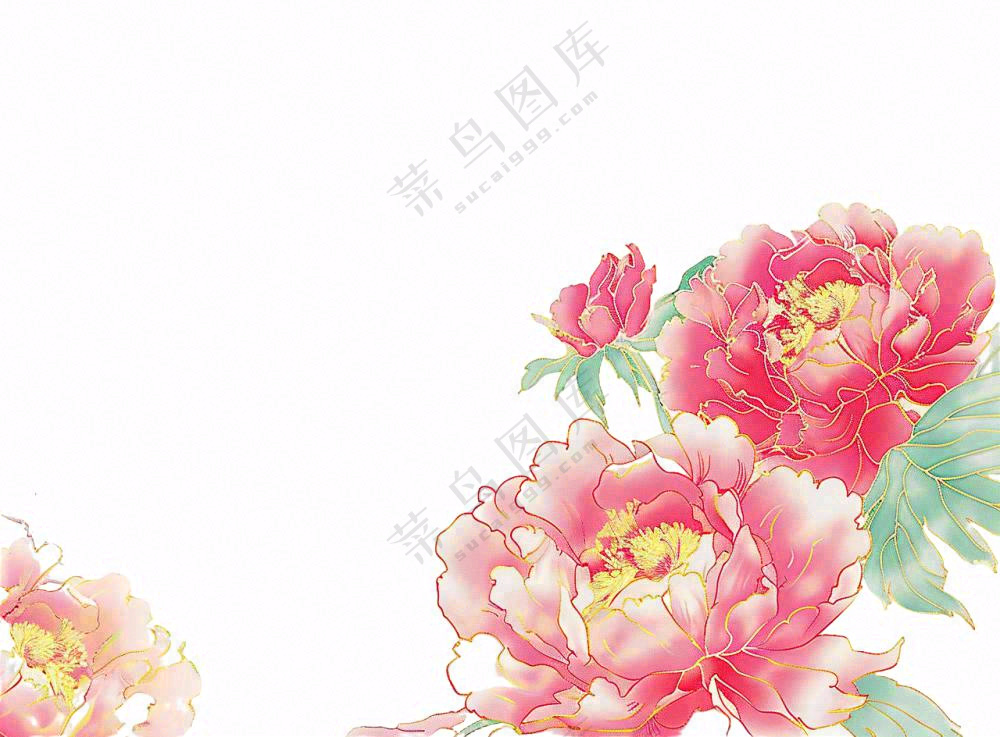 国花牡丹鲜艳花朵植物插画免抠