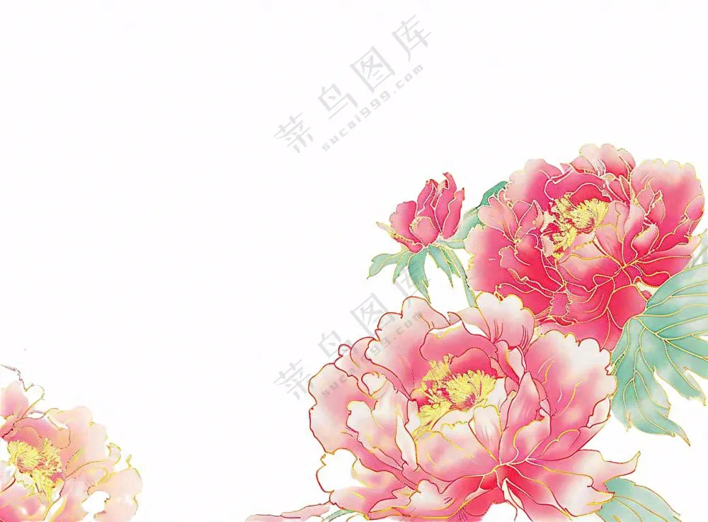 国花牡丹鲜艳花朵植物插画免抠