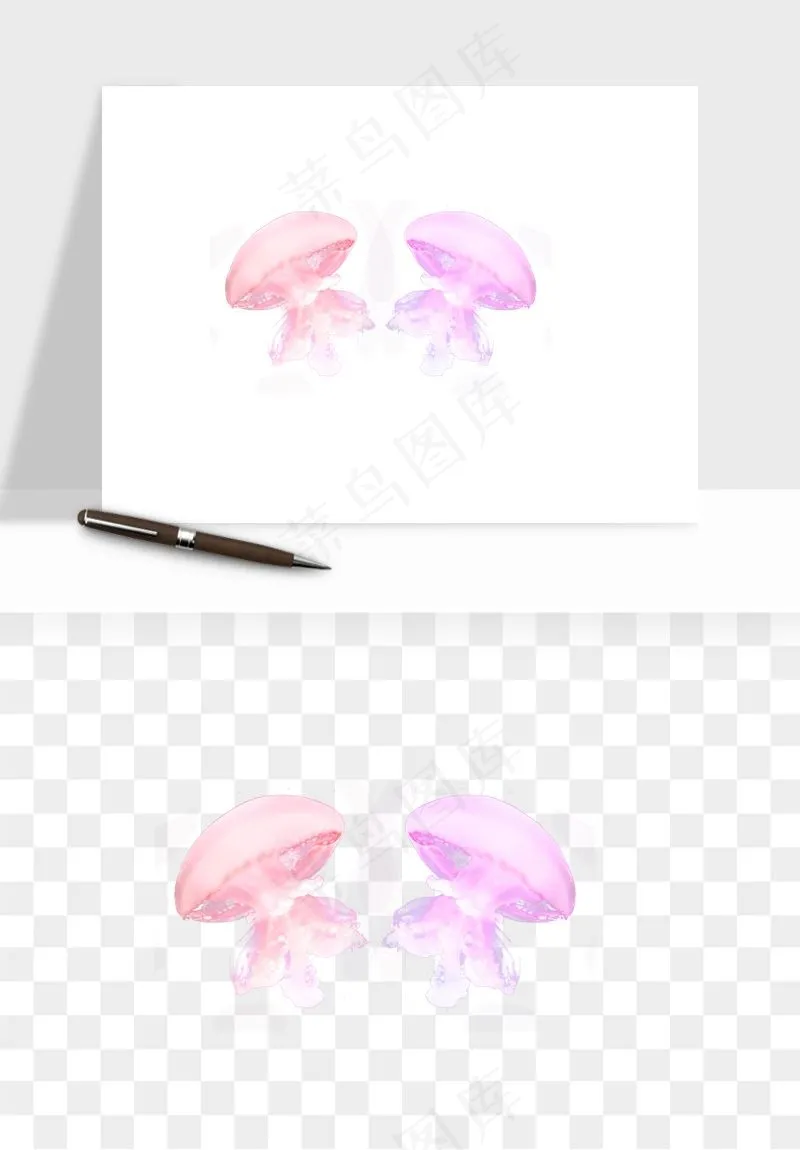 水母章鱼海底生物png免抠图