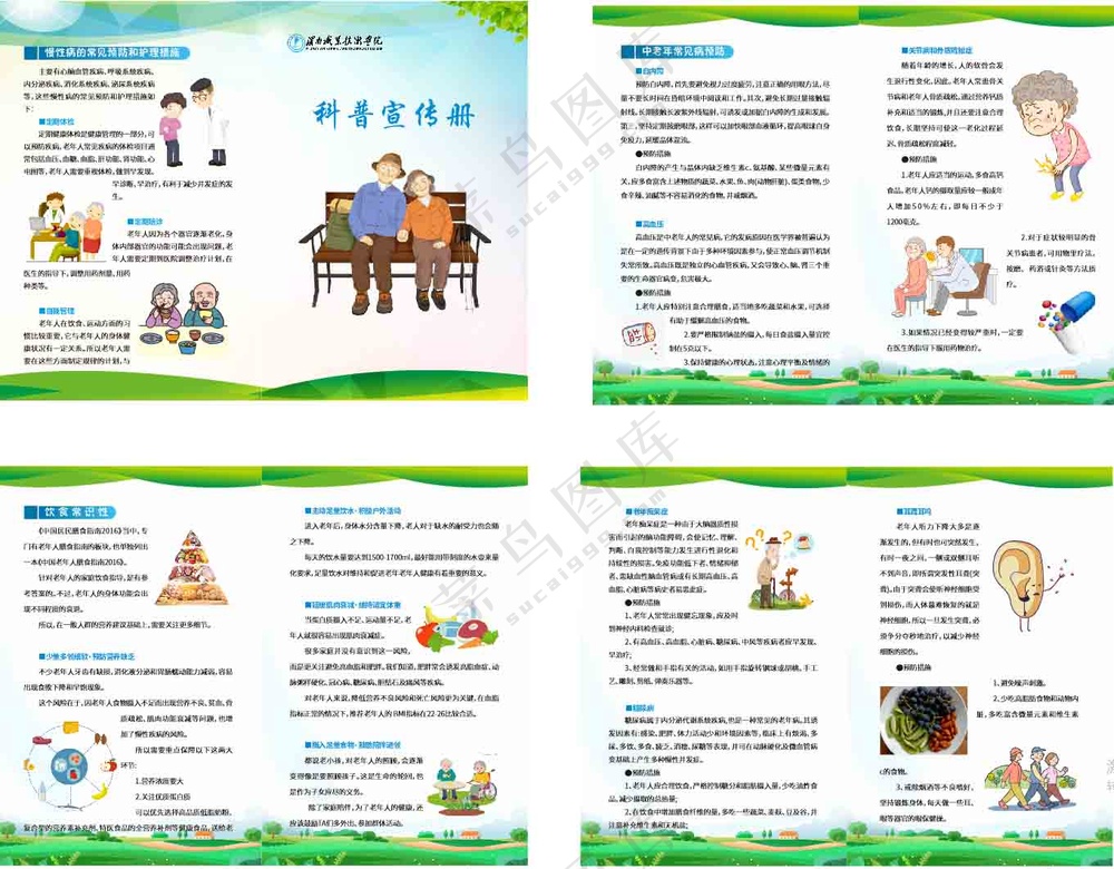 老年人疾病科普宣传册