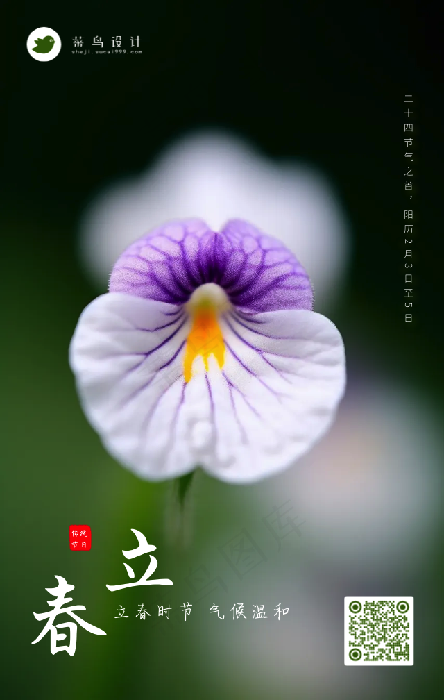 立春手机海报