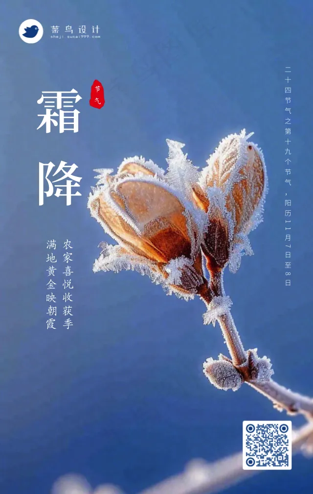 立冬手机海报