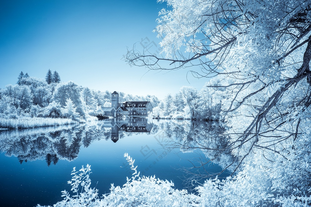 湖泊雾凇雪景图片