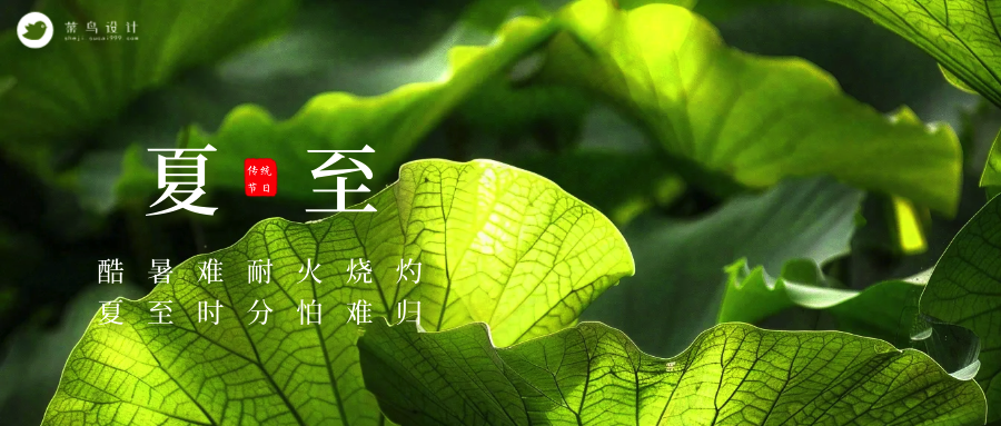 夏至公众号首图