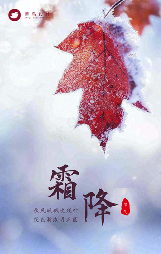 霜降手机海报