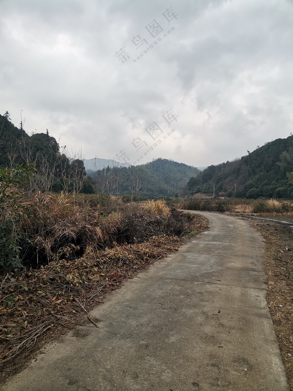 乡村的马路