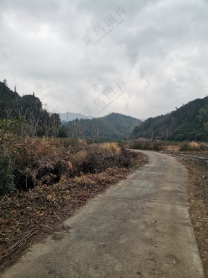 乡村的马路