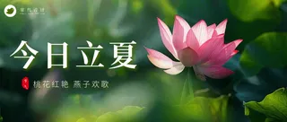 立夏公众号首图