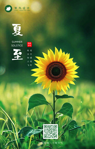 夏至手机海报