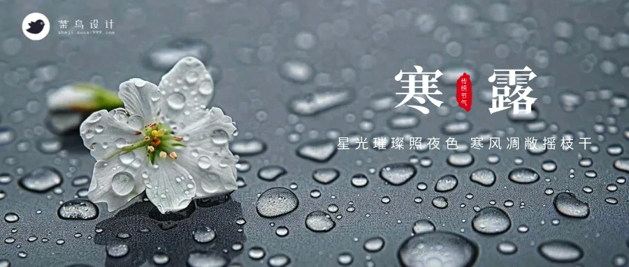 寒露公众号首图