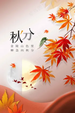 秋分节气传统活动海报
