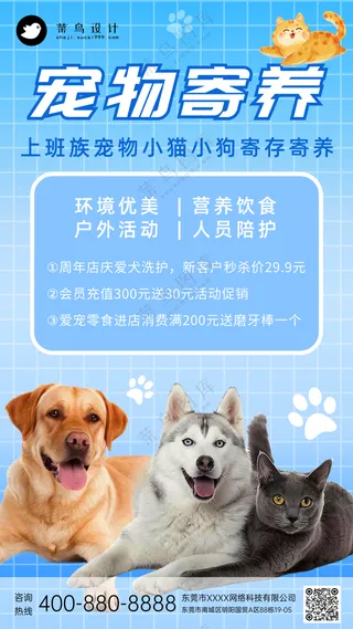 萌宠宠物寄养活动促销手机海报
